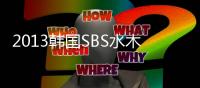 2013韩国SBS水木剧《主君的太阳》更新第17集[韩语中字]